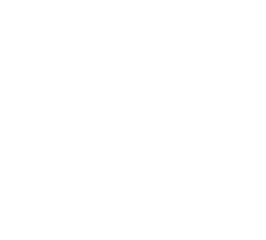 Mittipro
